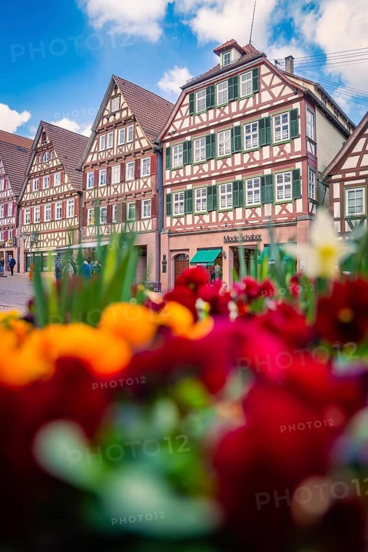 Colourful flowers in the foreground accentuate the traditional beauty of the half-timbered houses, Calw, Black Forest, Germany
