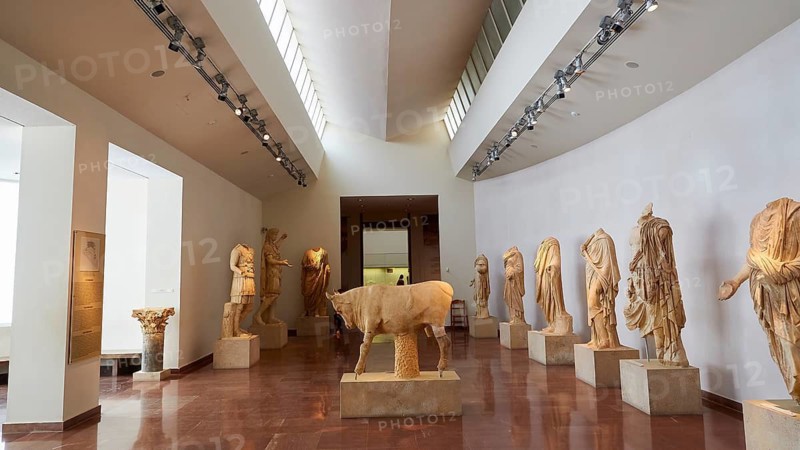 Classical Greek marble sculptures and the sculpture of a bull, interior of a museum with numerous ancient sculptures on display, Olympia Archaeological Museum, Ancient Olympia, Olympia, Peloponnese, Greece