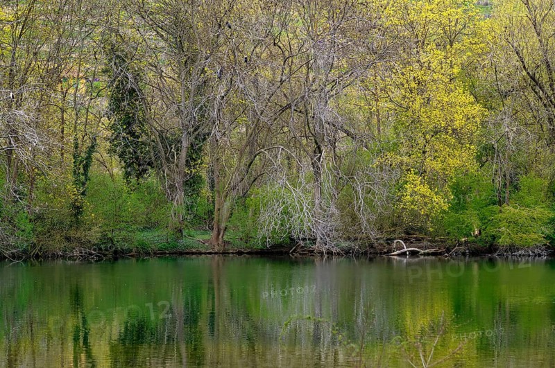 Bird sanctuary, riparian landscape, reflection, Max-Eyth-See, Hofen, Stuttgart, Baden-Württemberg, Germany