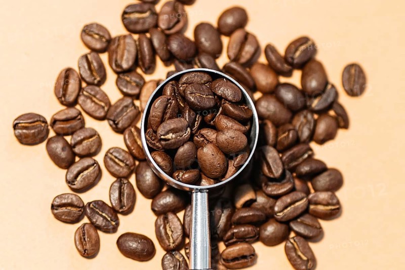 A close up view of roasted coffee beans scattered on a surface, with a metallic scoop in the center filled with beans, highlighting their texture and rich brown color