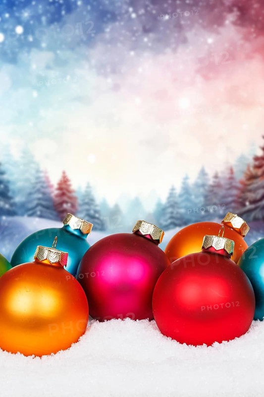 Christmas card for Christmas with forest in the background card and text free space copyspace decoration winter in Stuttgart, Germany