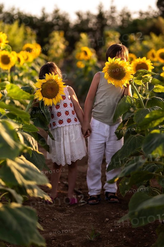 Two children hold hands in a vibrant sunflower field, their faces playfully obscured by the sunflowers. The scene captures youthful innocence and joy in nature