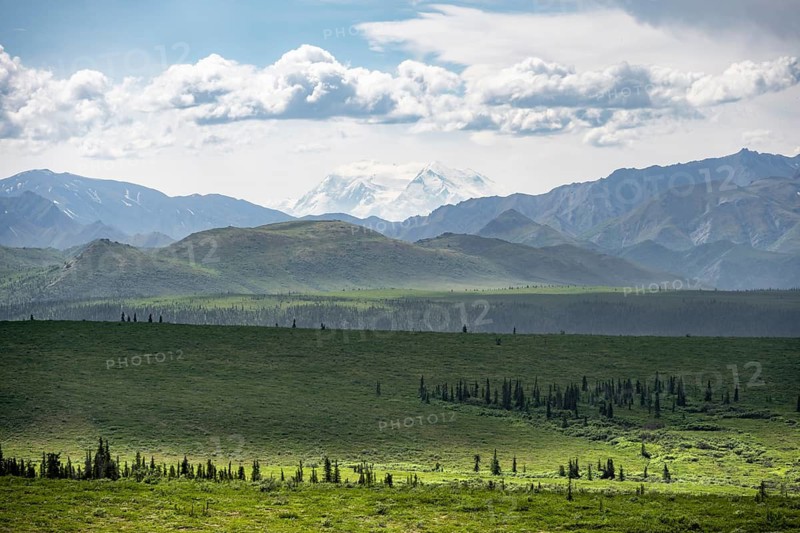Tundra and glaciated peak of Denali or Mount McKinley, mountainous landscape, Denali National Park, Alaska, USA