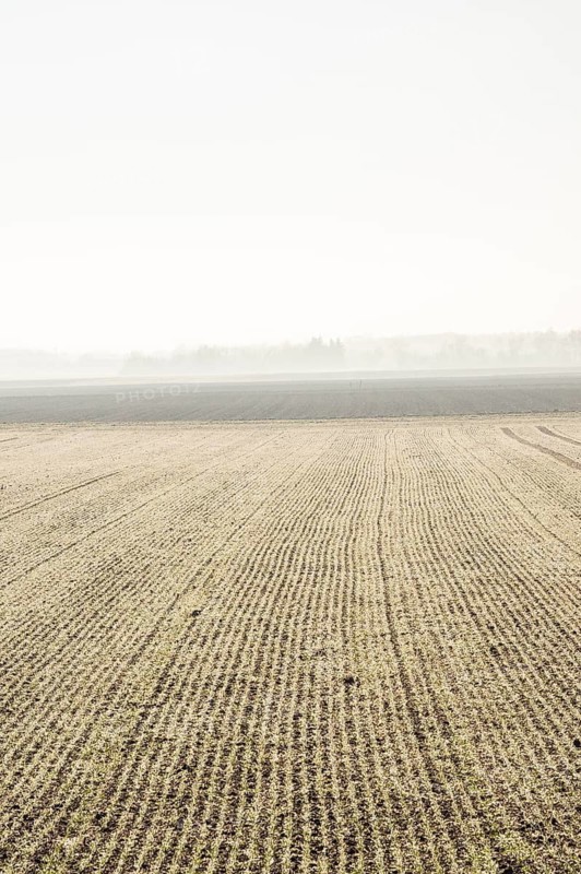 Early Morning ladscape of fields with frost, Wörth an der Donau, Regensburg, Upper Palatinate, Bavaria, Germany
