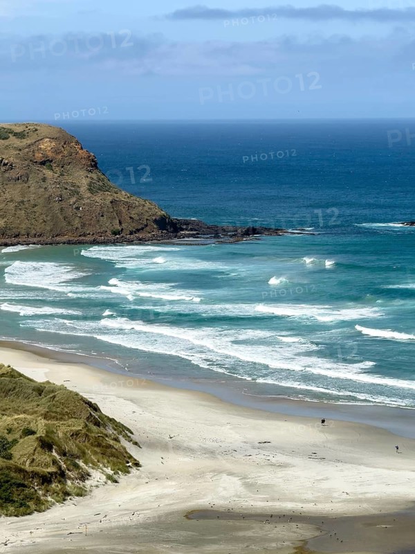 Sandfly Bay, Otago, South Island, New Zealand, Oceania