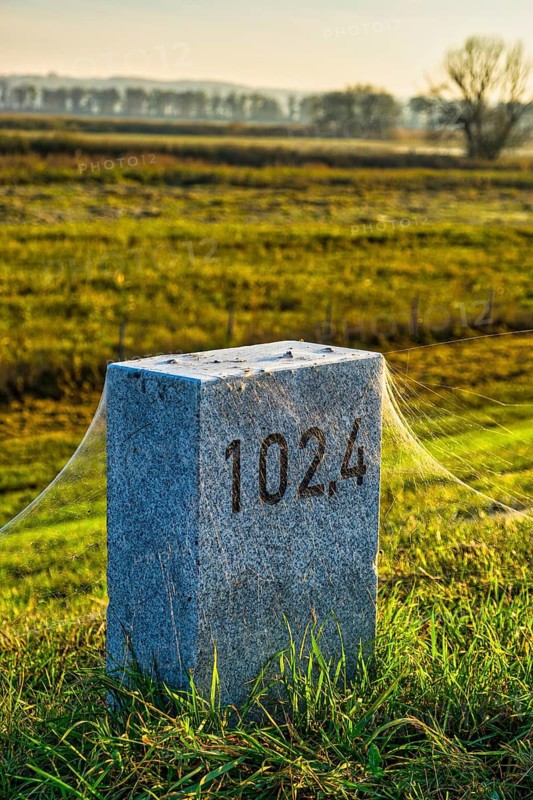 Cobwebs on kilometre stone on dyke near Schwedt Oder, Brandenburg, Germany