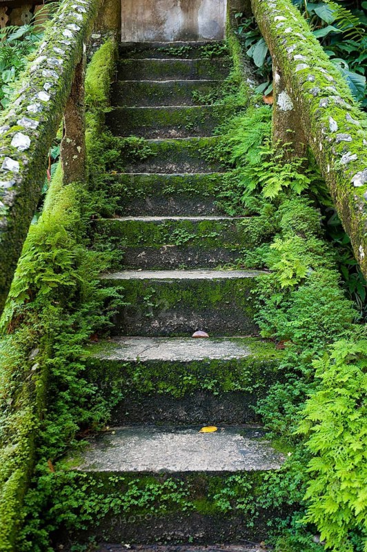 Overgrown mossy, dilapidated staircase, path, steps, Paronella Park, Innisfail, Queensland, Australia