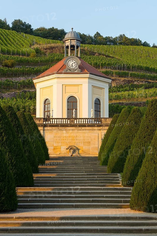 Garden with Belvedere Pavillion, Wackerbarth castle, vineyards, Radebeul near Dresden, Saxony, Germany