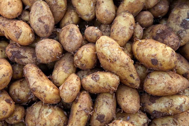 New potatoes at a market stall, Hanover, Lower Saxony, Germany, Europe, Neue Kartoffeln (Solanum tuberosum) an einem Marktstand, Hannover-Linden, Niedersachsen, Deutschland, Europa