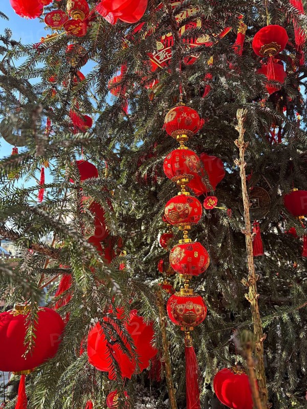 Festive Chinese New Year decorations adorn the streets with red lanterns and colorful ornaments, creating a vibrant and joyful atmosphere to welcome the Lunar New Year