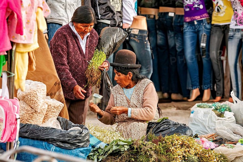 Two woman in traditional clothing selling herbs and plants at a street market, The street market of Uyuni in Bolivia