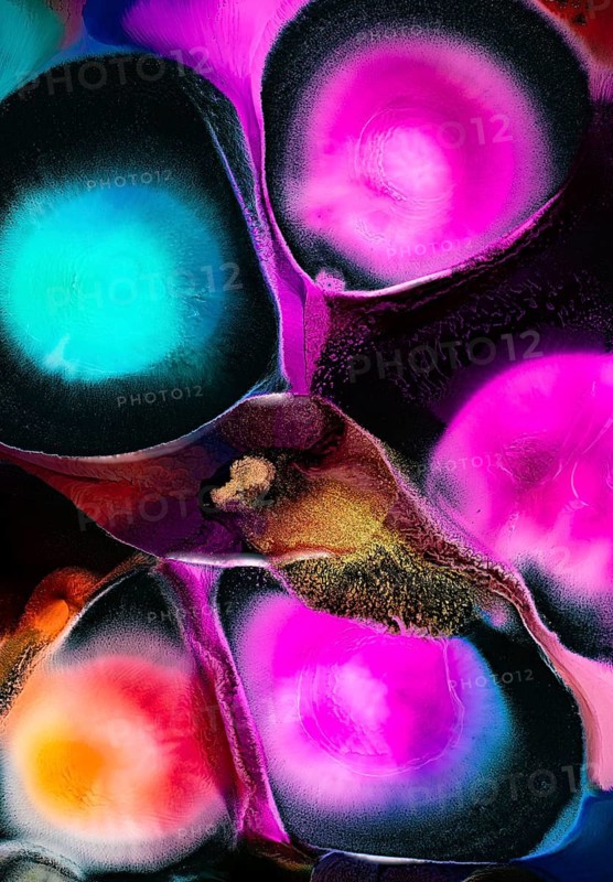 A vibrant abstract painting with vivid pink, blue, and orange hues. liquids textures and dynamic shapes create a visually captivating and energetic composition
