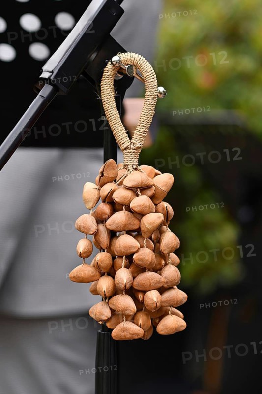 Kenari shaker, a percussion music instrument made from Kenari seed nutshells attached to a wrist strap