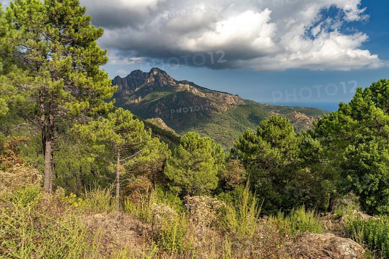 Mountainous landscape in the Bavella massif, Corsica, France