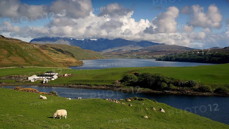 Europe, Scotland, England, Isle of Skye, landscape with sheep and house