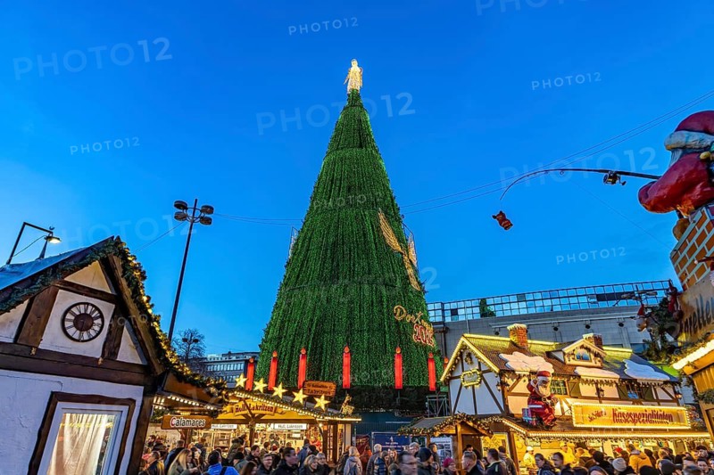 The huge Christmas tree at Dortmund's Christmas market at dusk, Dortmund, North Rhine-Westphalia, Germany