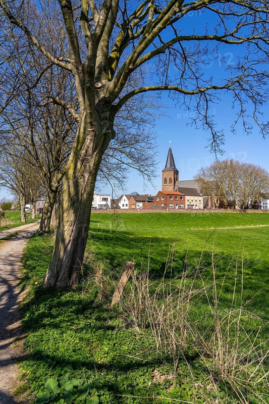The place Grieth on the Lower Rhine, belongs to Kalkar, Hanseatic city, path in the Rhine meadows, avenue, parish church St. Peter and Paul, North Rhine-Westphalia, Germany