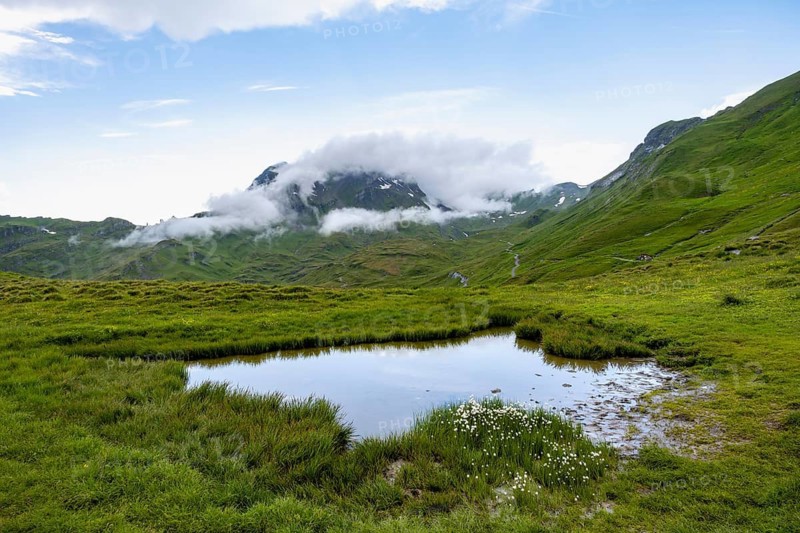 Mountain landscape and small pond, clouds moving around mountain peaks, Grindelwald First, Bernese Alps, Bernese Oberland, Switzerland