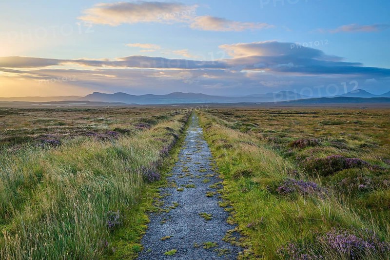 Narrow trail leads through green fields under blue sky, mountains and clouds visible in the distance, Moine House, Moine Track, Lairg, Scotland, United Kingdom, Great Britain