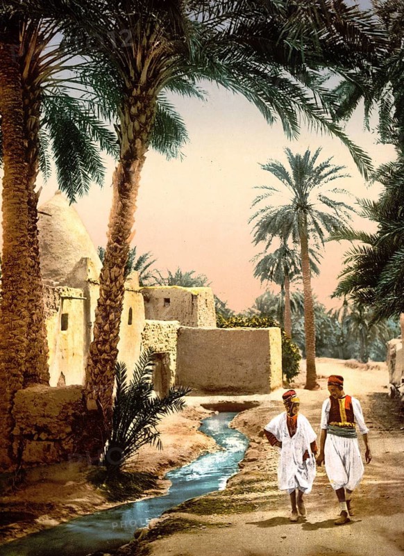 Street in the old town centre of Biskra, Algeria, ca 1890, Historical, digitally restored reproduction from a 19th century original, Record date not stated