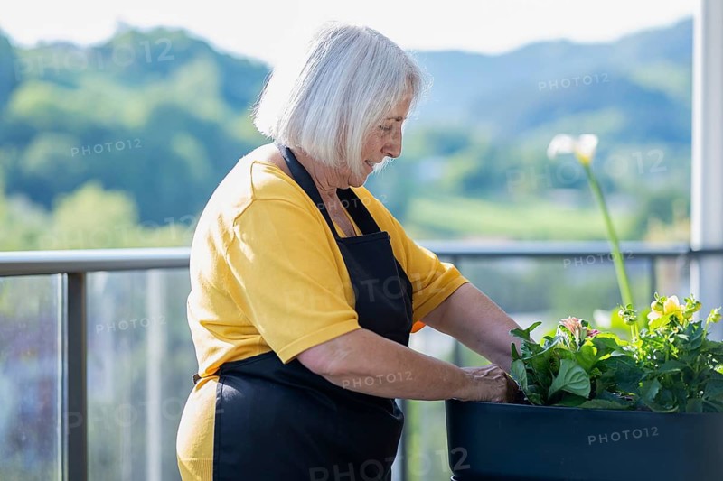 An elderly woman tends to her flowers on a sunny balcony, surrounded by lush greenery. She wears a yellow shirt and apron, symbolizing serenity and the joy of gardening