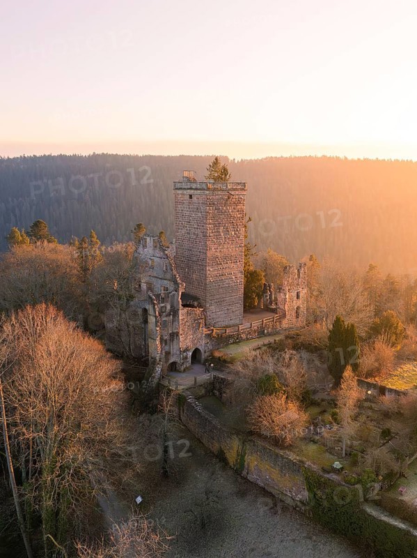 A castle ruin sits enthroned in the evening forest light and radiates historical grandeur, Zavelstein, Calw district, Black Forest, Germany