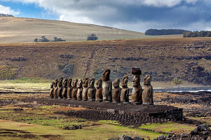 Several Moai statues stand in a row in a grassy landscape, The Moai statues on Easter Island in the Pacific Ocean