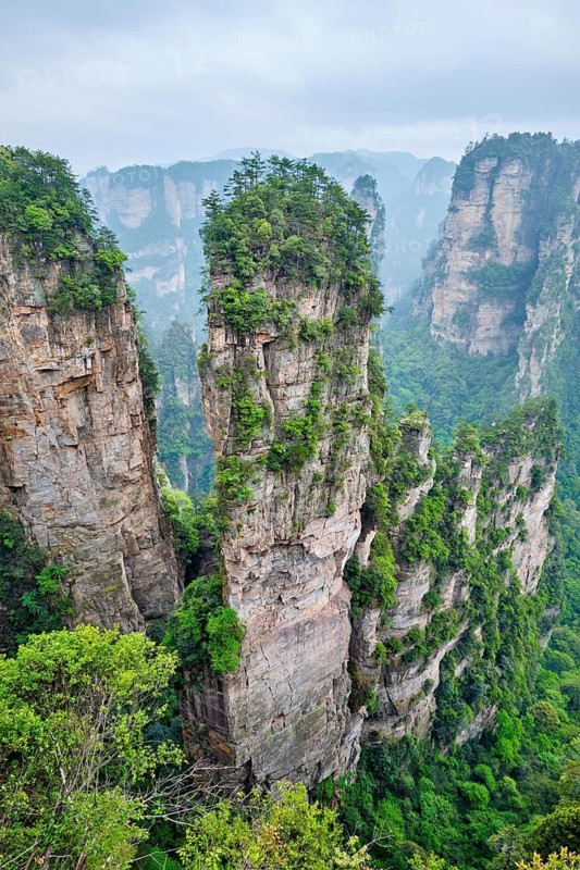 Famous tourist attraction of China, Avatar Hallelujah Mountain in Zhangjiajie stone pillars cliff mountains at Wulingyuan, Hunan, China
