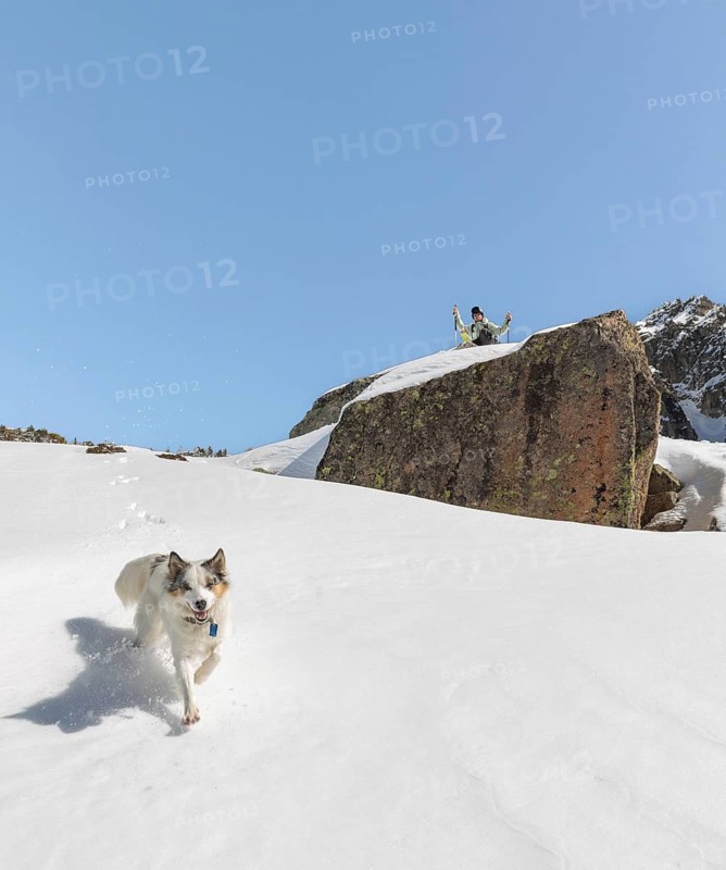 A snowboarder sits at the edge of a rocky cliff, observing the snowy environment as an energetic dog runs toward the camera across a snow-covered slope