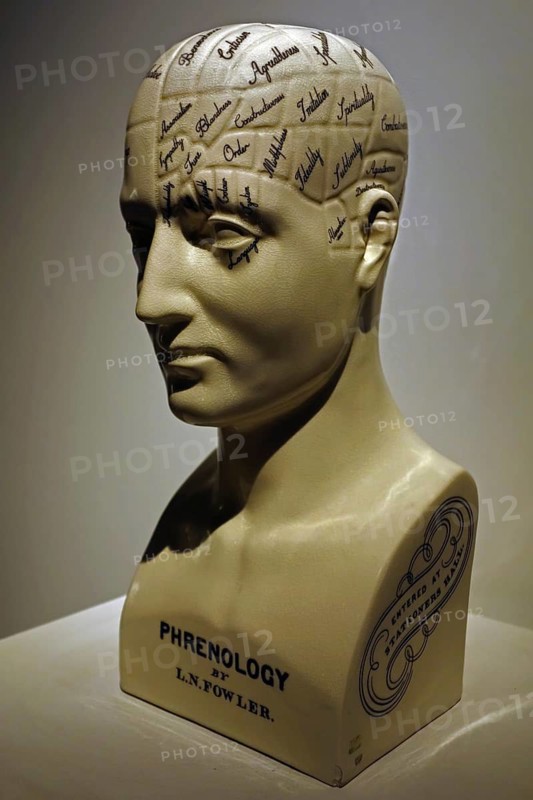Phrenology bust by L.N. Fowler, pseudoscience of the nineteenth century