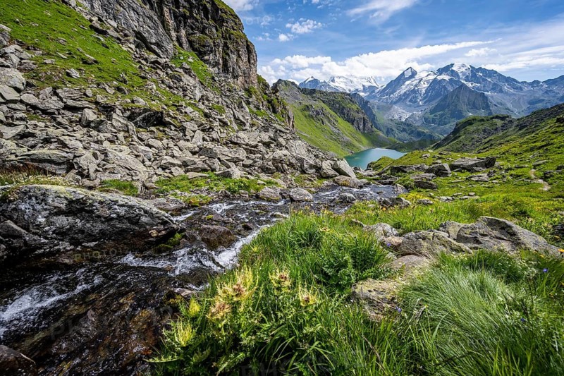 Mountain stream in picturesque mountain landscape, view of mountain lake Lac du Louvie and glaciated mountain peaks of the Grand Combine, Valais Alps, Val de Bagnes, Valais, Switzerland
