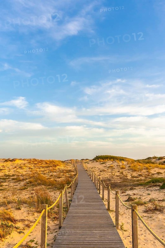 Wooden walkway leading through sand dunes toward the horizon under a clear blue sky, presenting a path to the beach in seignosse le penon, landes, france