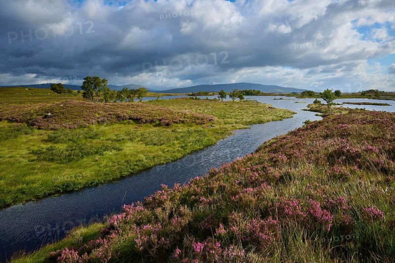 River snakes through green landscape under a cloudy sky, Rannoch Moor, Bridge of Orchy, Scotland, United Kingdom, Great Britain