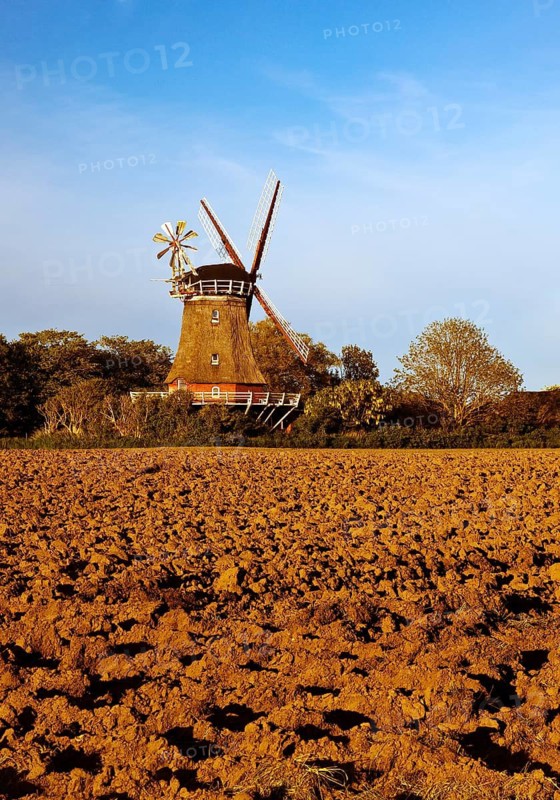 Traditional windmill in Oldsum, Föhr, North Frisia, Germany