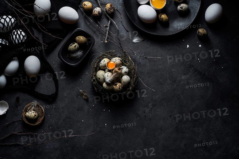 From above composition of raw chicken eggs on plates and quail eggs in nest on black background