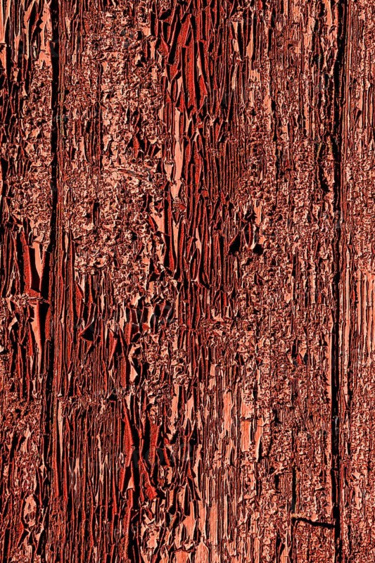 Detail of an old wheathered door