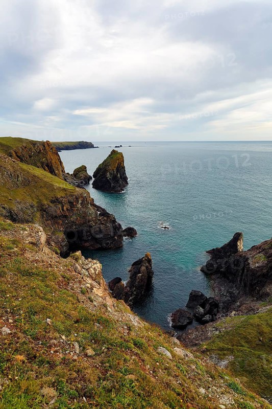Rocky coast at Kynance Cove, cliffs, Mount's Bay, Lizard Peninsula, Cornwall, England, Great Britain