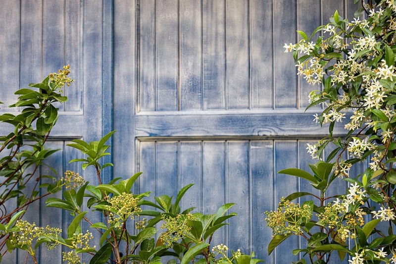 A vibrant blue door adorned with lush greenery and flowers captures the essence of an authentic street. The scene is filled with colorful aesthetics and timeless charm