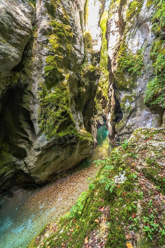 Crystalline water flowing between mossy cliffs at tolmin gorges in slovenia, creating a stunning natural spectacle