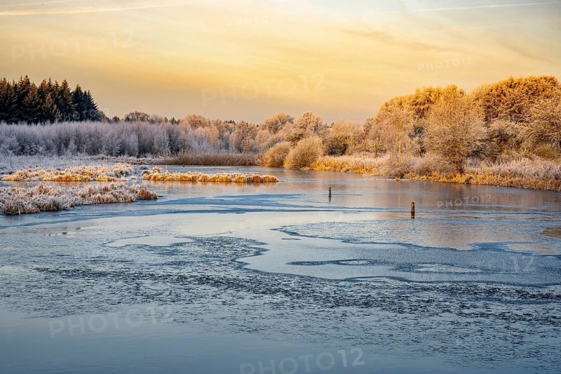 Winter hoarfrost at Ahlhorn fish ponds, Ahlhorn fish ponds, Ahlhorn, Lower Saxony, Germany