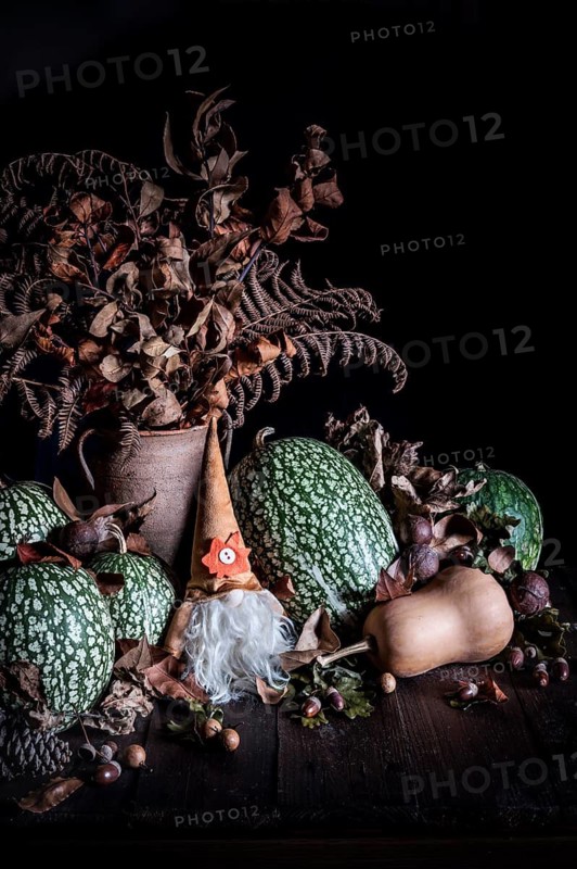 Autumn scene with green pumpkins, dried leaves, and a gnome statue on a rustic wooden table. The arrangement evokes the cozy and earthy essence of the fall season