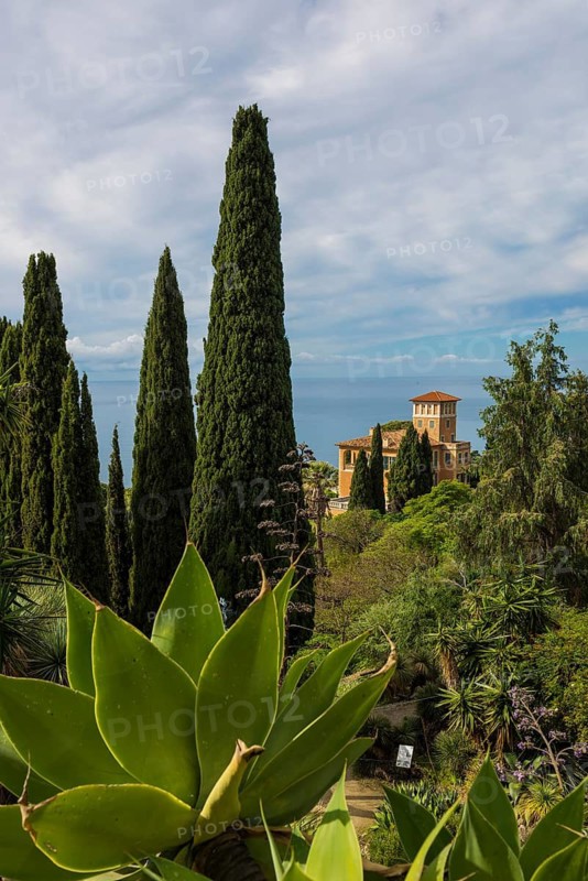Botanical Garden, Giardino Hanbury, La Mortola, near Ventimiglia, Riviera dei Fiori, Liguria, Italy