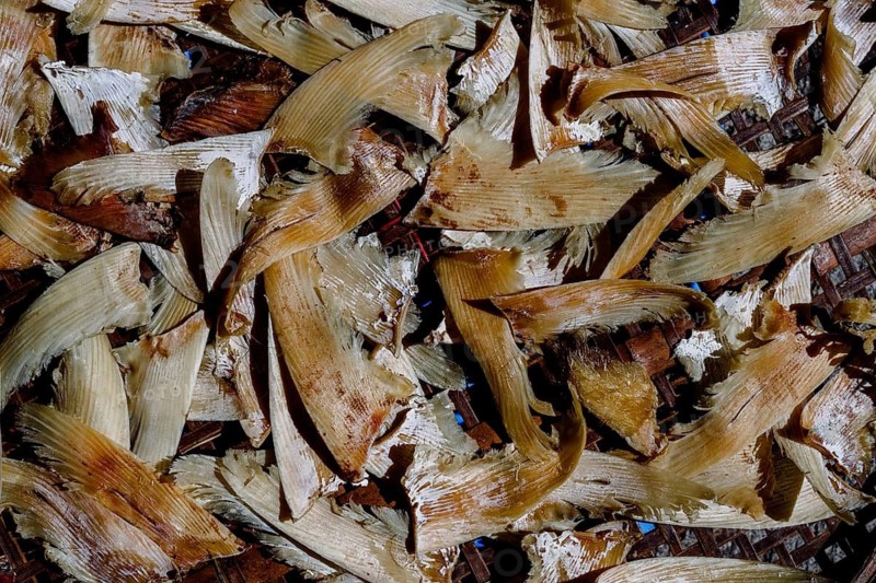 Close-up of strips of tuna drying in the bright sunlight on woven trays, capturing a traditional food preservation method in Macau
