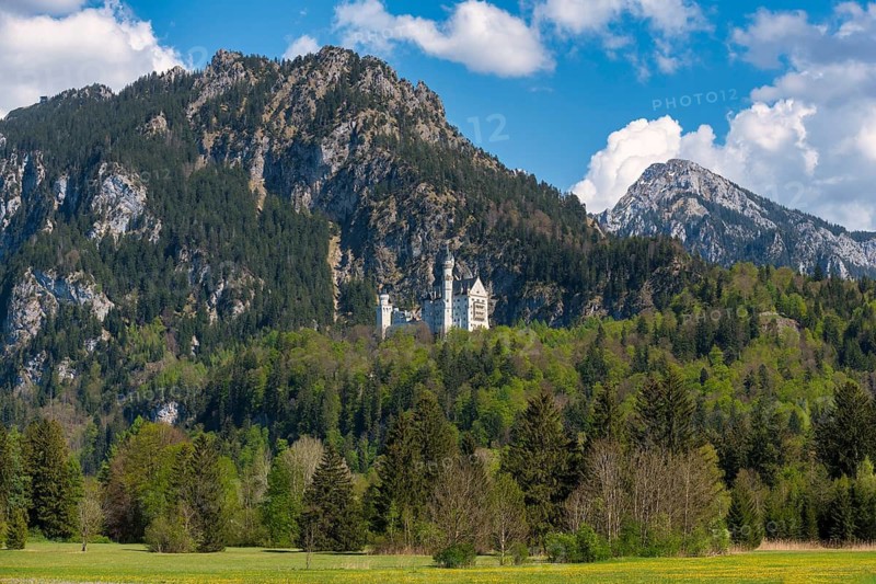 Neuschwanstein Castle against a dramatic mountain backdrop, surrounded by dense mixed forest under a blue sky, Schwangau near Füssen, Ostallgäu district, Swabia, Bavaria, Germany