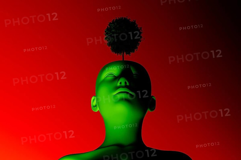 A silhouette of a human head features a vibrant tree emerging from the top, symbolizing thought, creativity, and personal growth against a bold red and green background