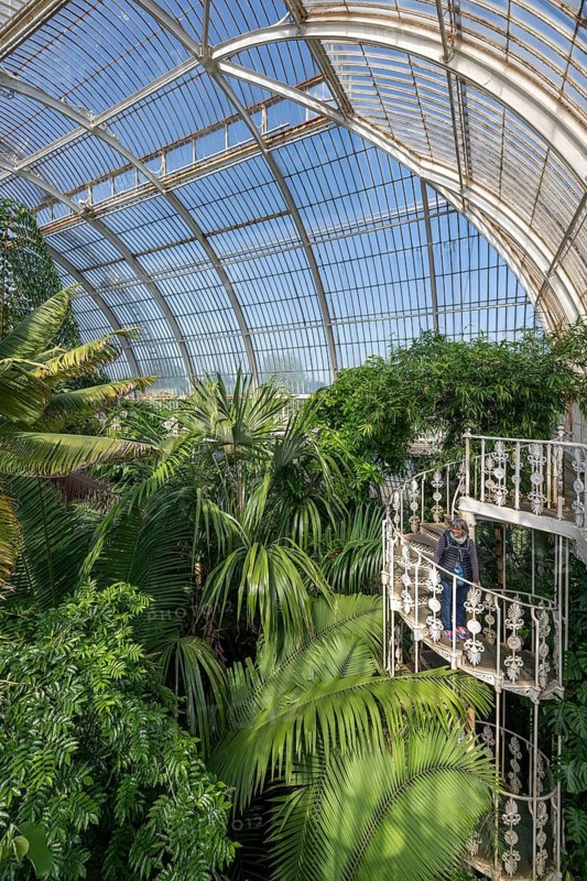 Cast-iron spiral staircase, Palm House, oldest Victorian greenhouse in the world, Royal Botanic Gardens, Kew, London, England, Great Britain