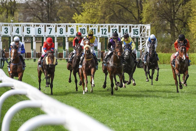 WROCLAW, POLAND - APRIL 15, 2018: Race for three years old horses III group at Racecourse WTWK Partynice. The opening day of the season