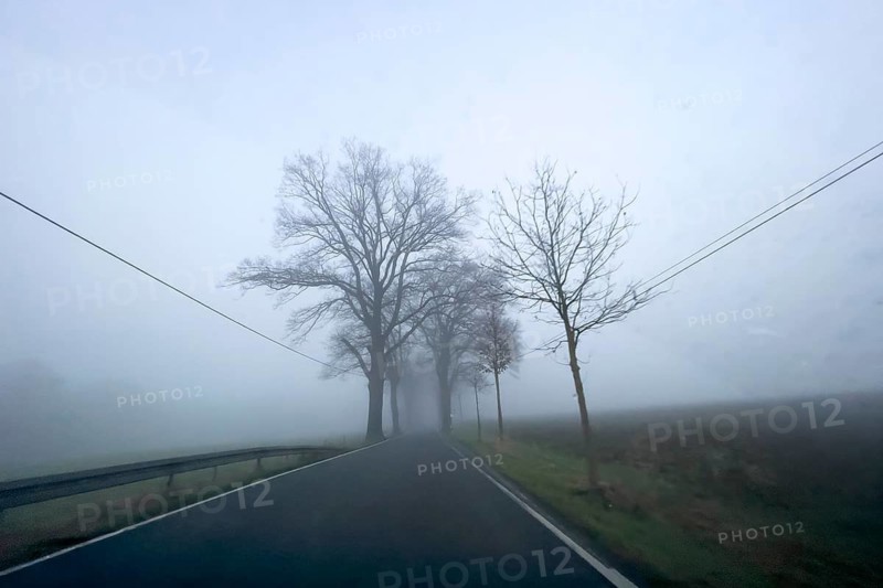 Driver's perspective view of foggy, foggy country road with trees next to the road in thick fog in winter, Germany