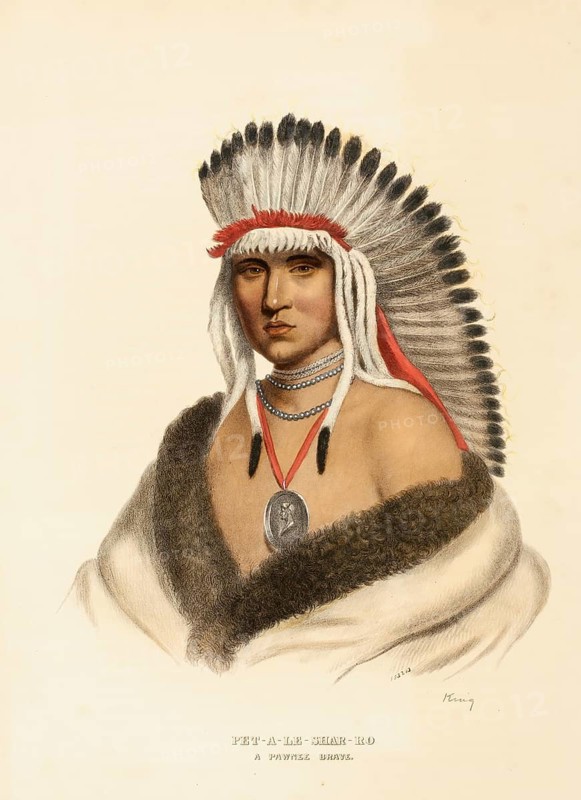 Pet-A-Le-Shar-Ro. A Pawnee Brave (ca. 1837-1844), Native American, Historical Native American tribes from North America, Charles Bird King (1785, 1862), Historical, digitally restored reproduction from a 19th century original, Record date not stated