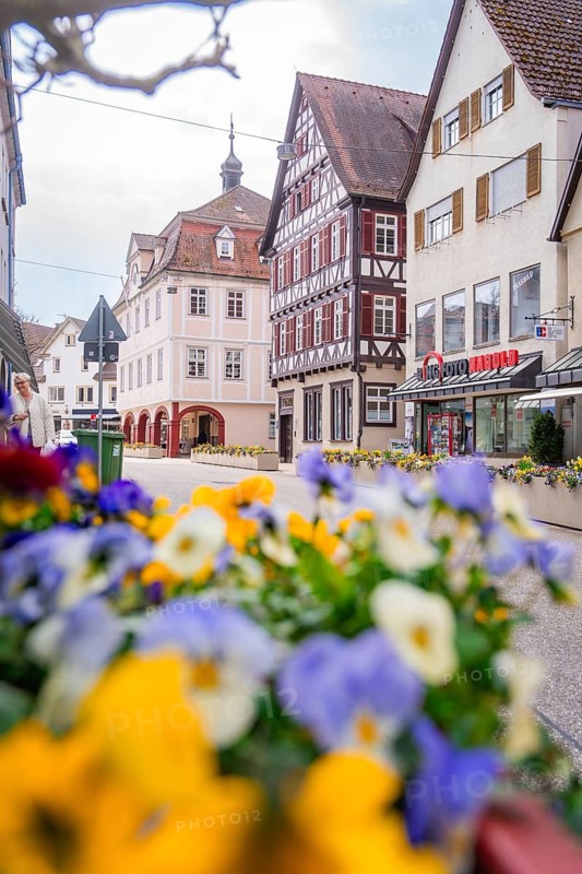 Colourful alley with blooming flowers and half-timbered houses in a historic town, Nagold, Black Forest, Germany
